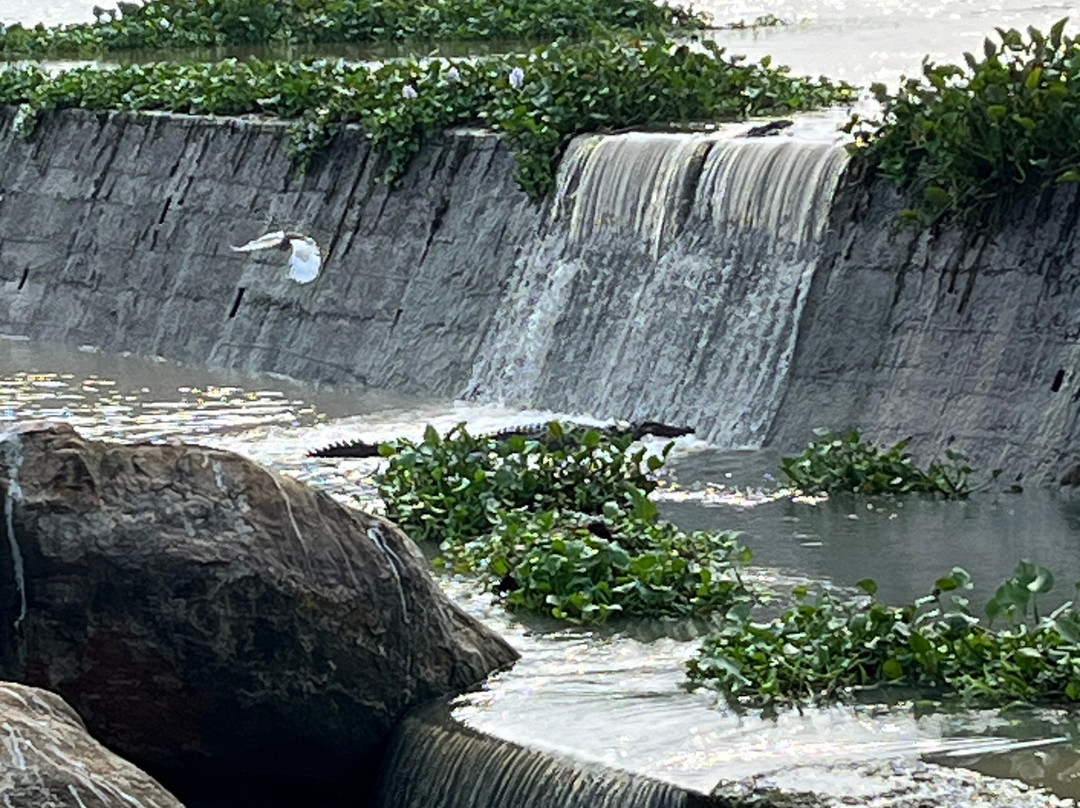 Visit Sri Lanka Transfers-Ratmalana必去景点