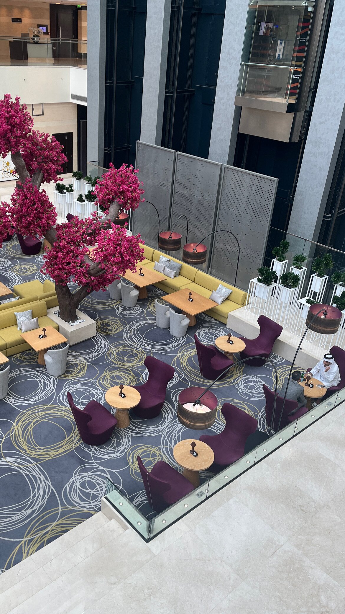 罗塔纳羚羊-官方