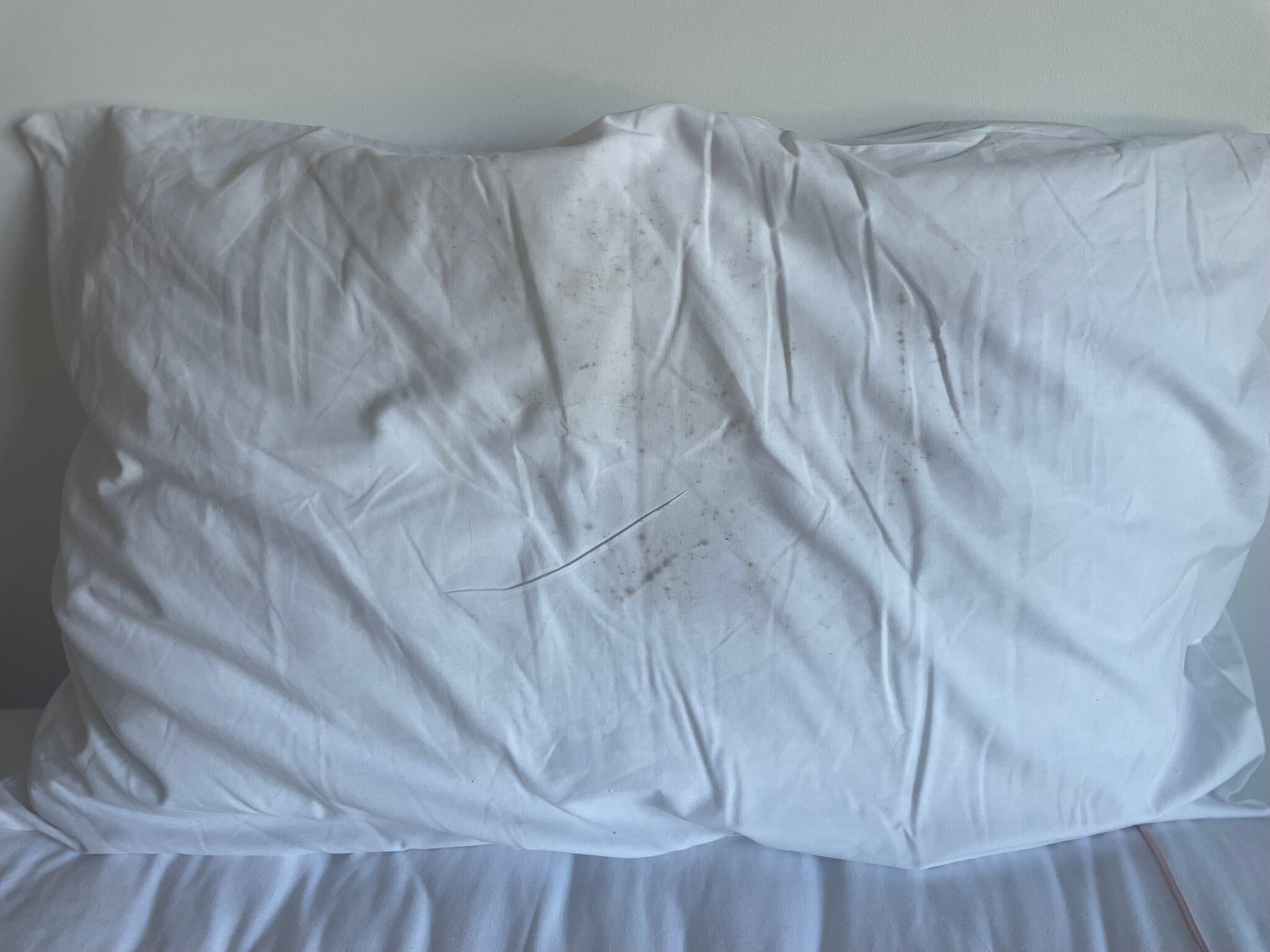 海岸驱车汽车旅馆-官方