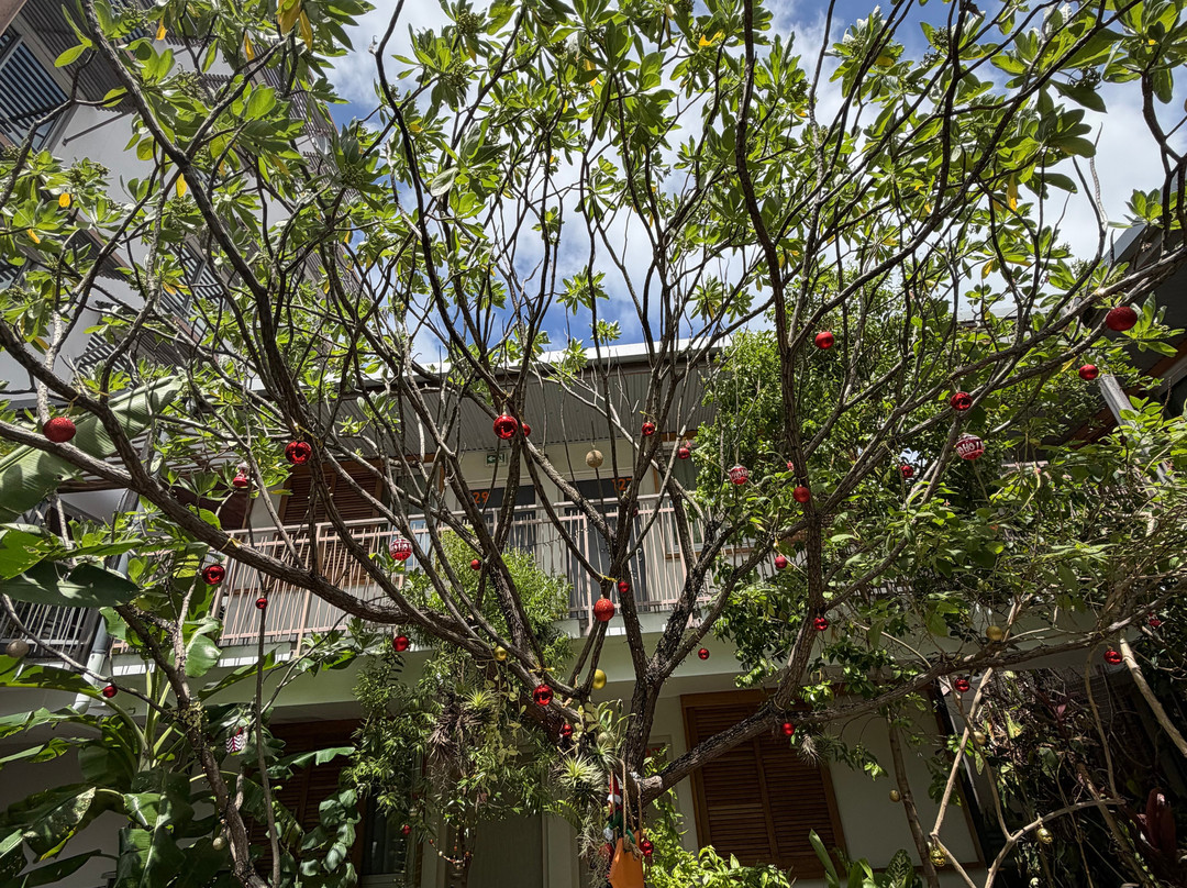 Gondwana Hotel主图