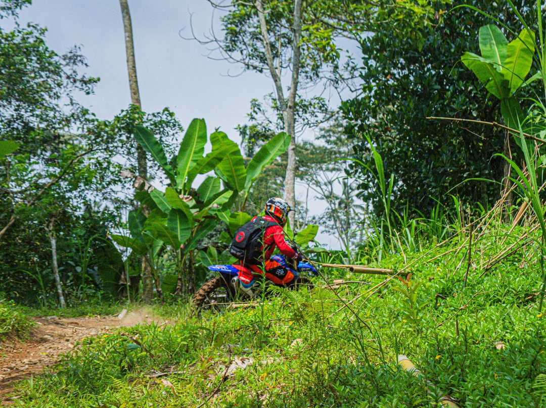 Bali Wilderness Dirt Bike - Day Tours-巴厘岛必去景点