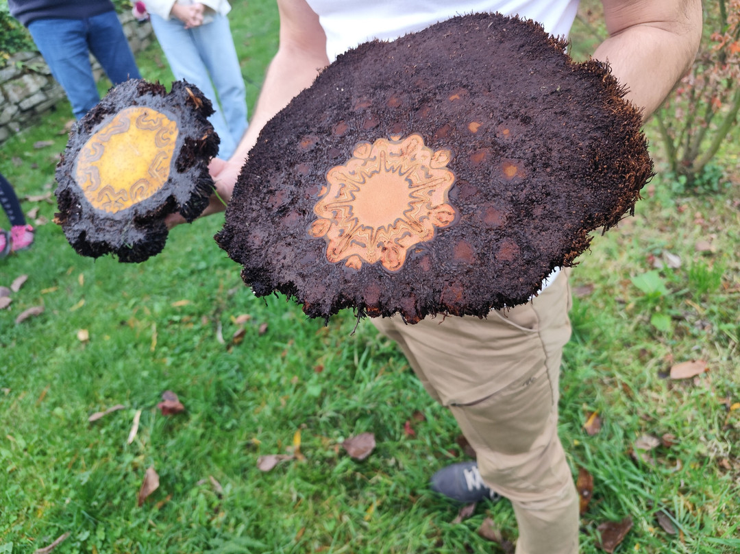 Fonte Baxa-卢阿尔卡必去景点