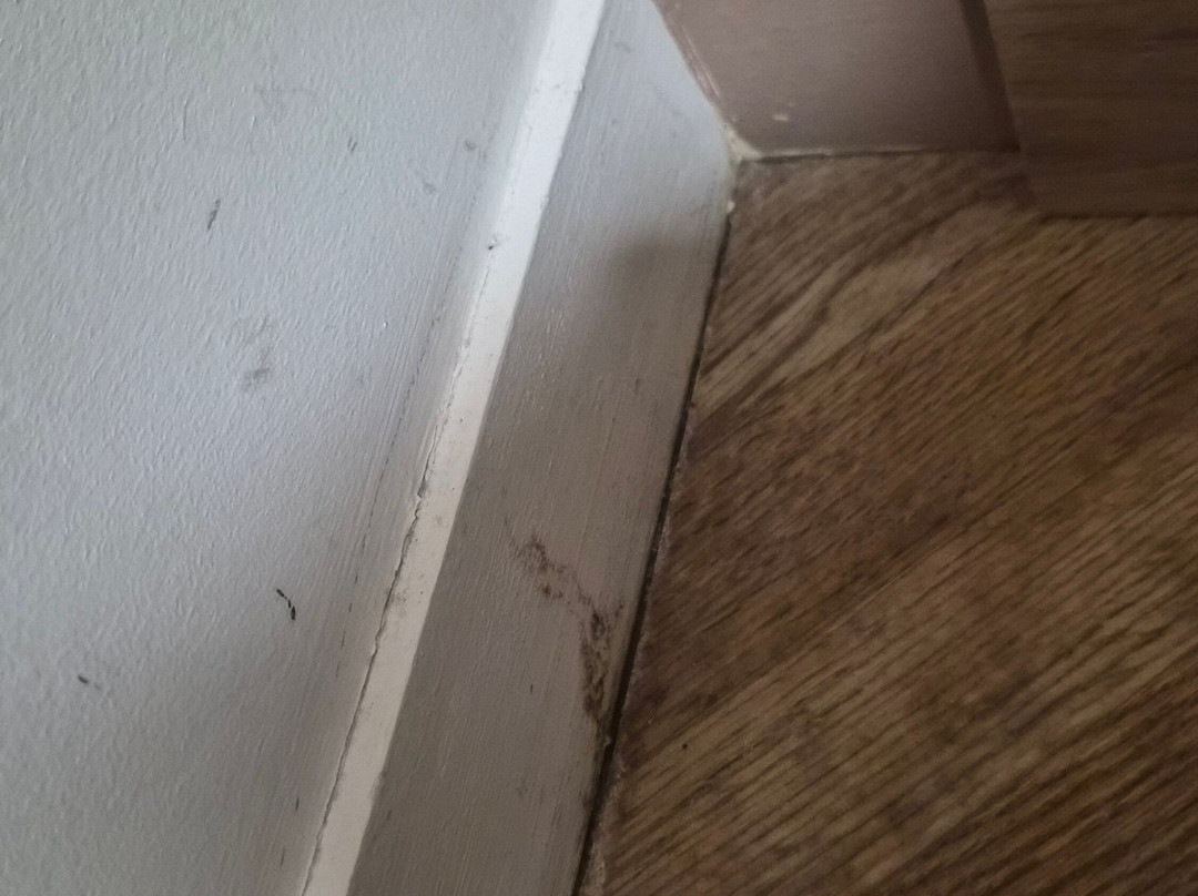 Au Relais Des Lilas主图