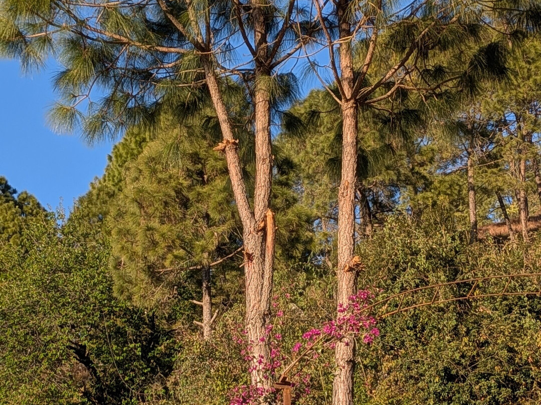 Sukoon Nature Retreat主图