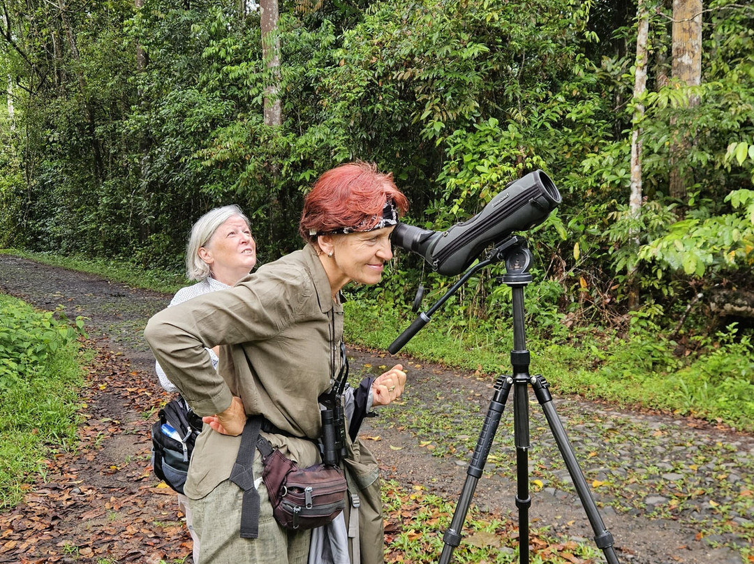 Ujung Kulon Tourism-Carita必去景点