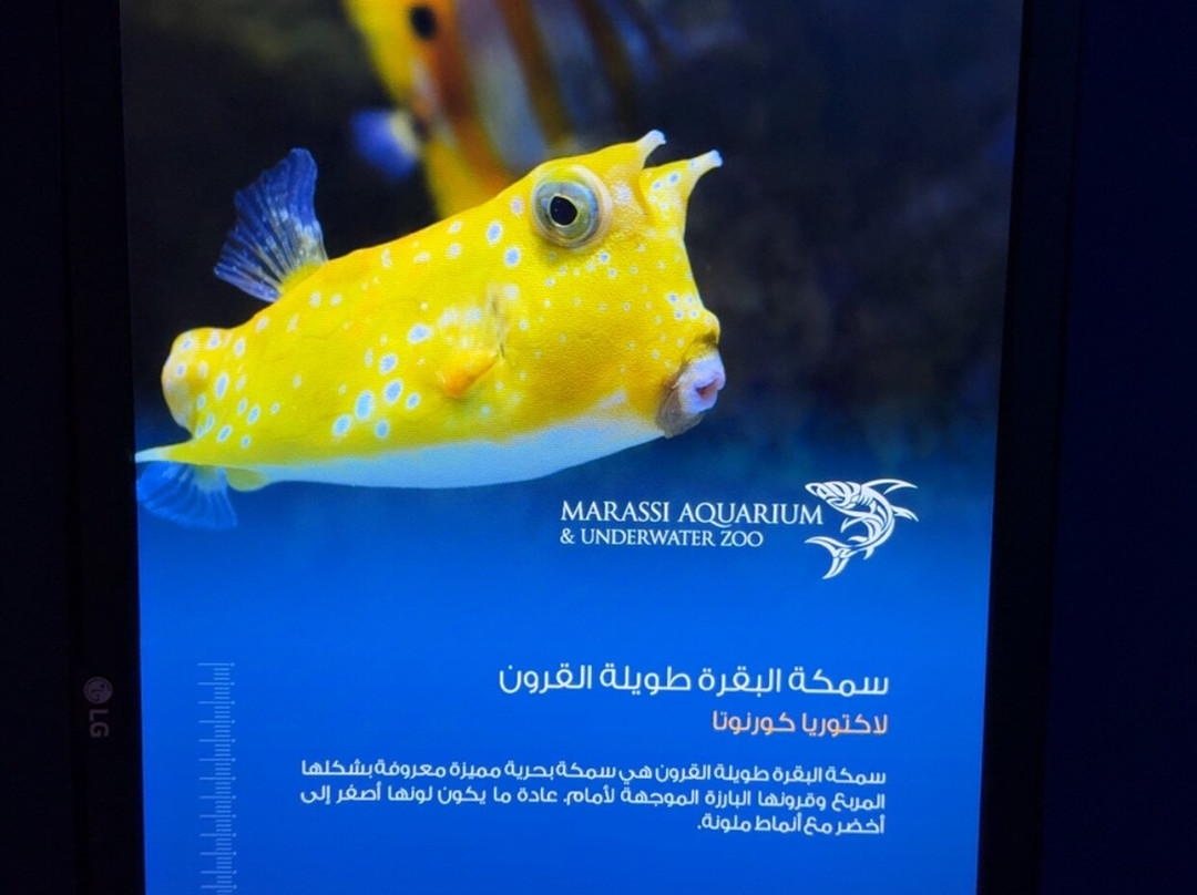 Marassi Aquarium & Underwater Zoo-Diyar Al Muharraq必去景点