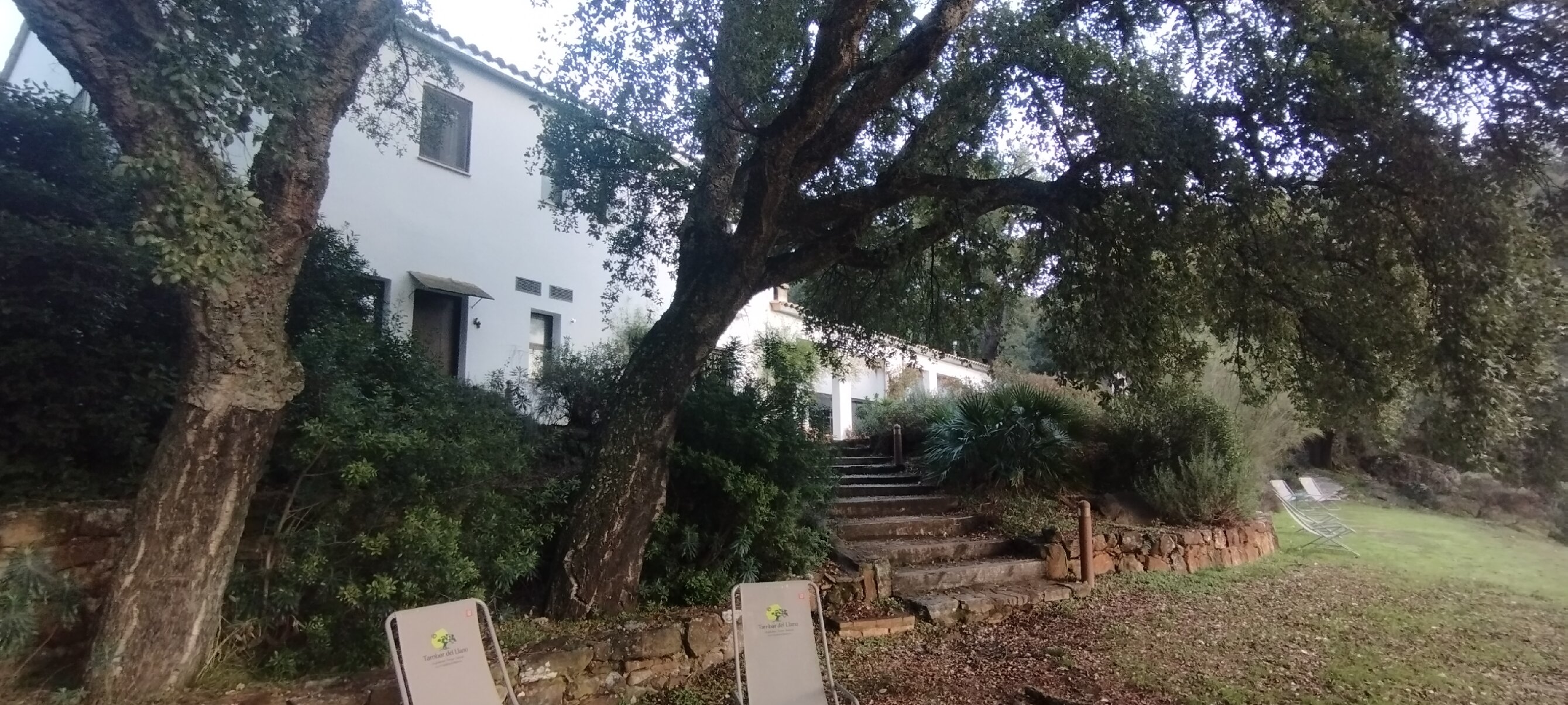 Tambor del Llano-官方