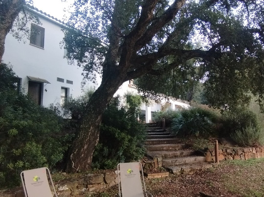 Tambor del Llano主图