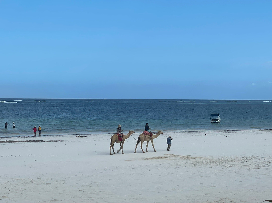 Eleven Pearl Boutique Hotel & Spa