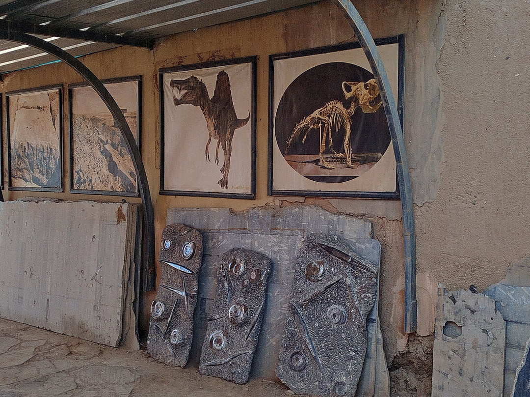 Fossiles d'Erfoud-Erfoud必去景点