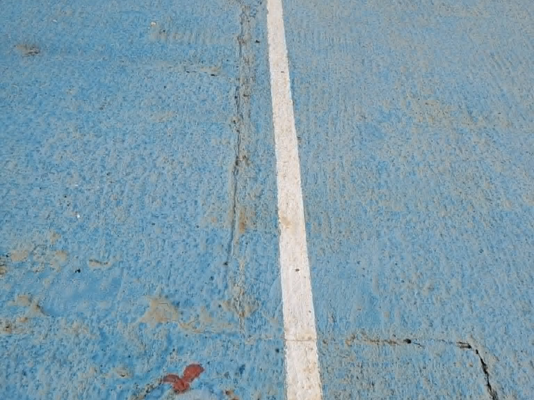 Melia Costa Rey主图