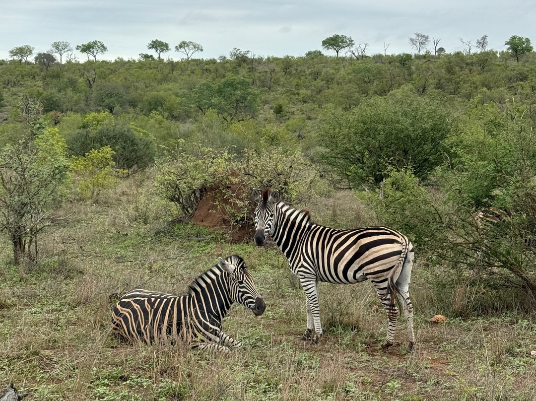 Famba Travel & Safaris-参宁必去景点