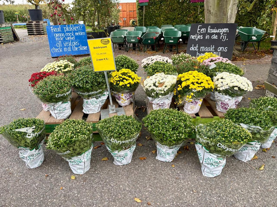 Vink Fruitboerderij-Kraggenburg必去景点