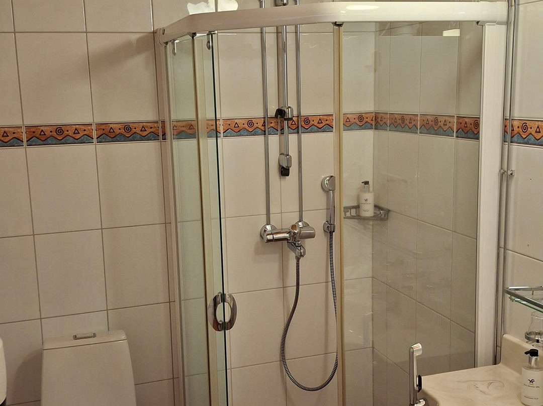 列维通托里Spa酒店主图