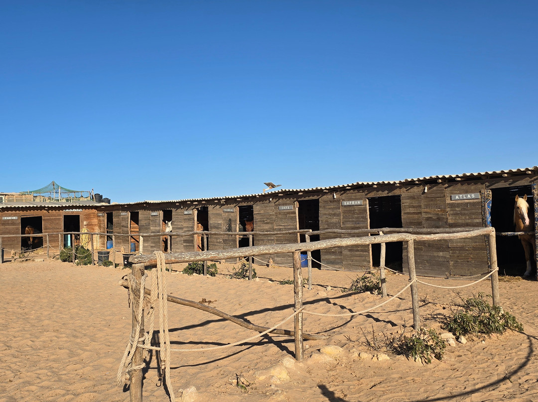 Ranch Des Dunes-达赫拉必去景点