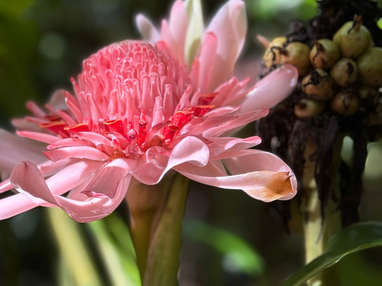 Blue Crab Water Adventures and Tours-塔马林多必去景点