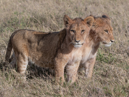 Sambora Private Journeys-吉佳利必去景点