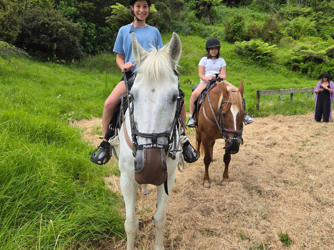 Sandy Bay Horses-璜加雷必去景点