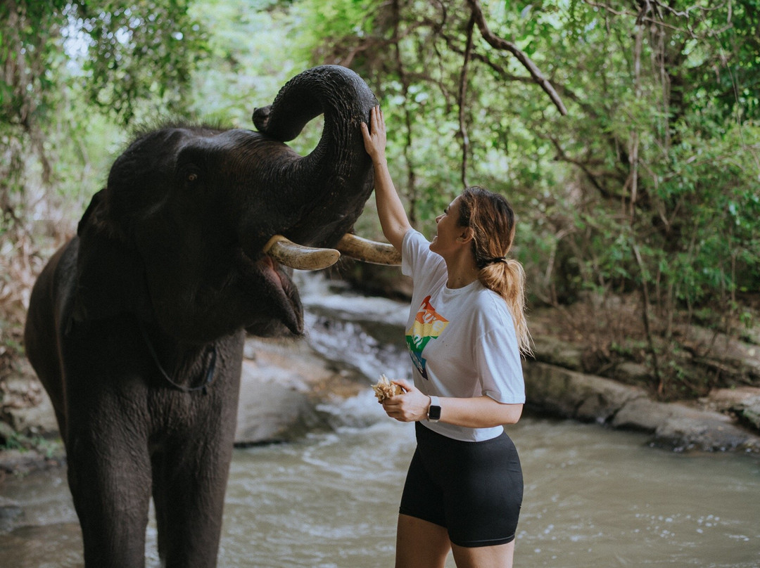 Temple of elephants