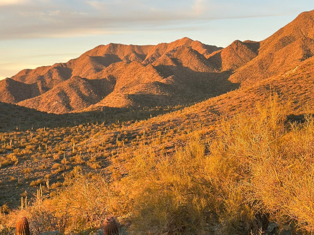 Lost Dog Wash Trail-斯科茨代尔必去景点