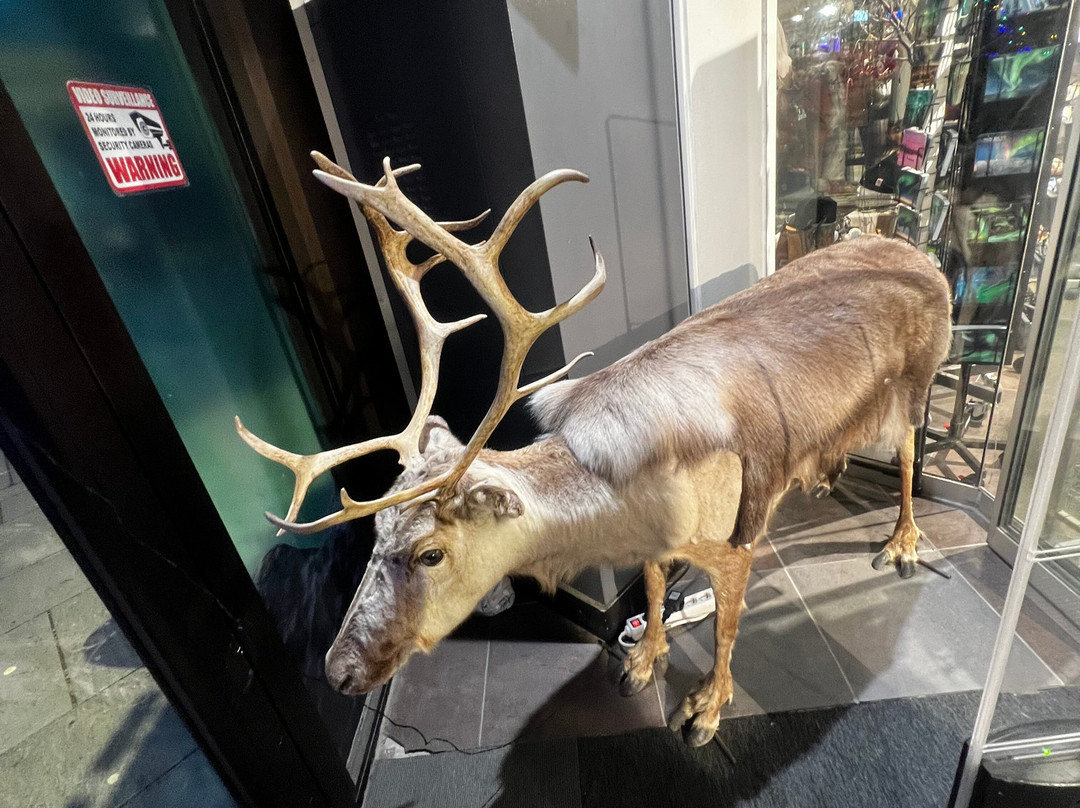 特罗姆瑟游客中心-特罗姆瑟必去景点