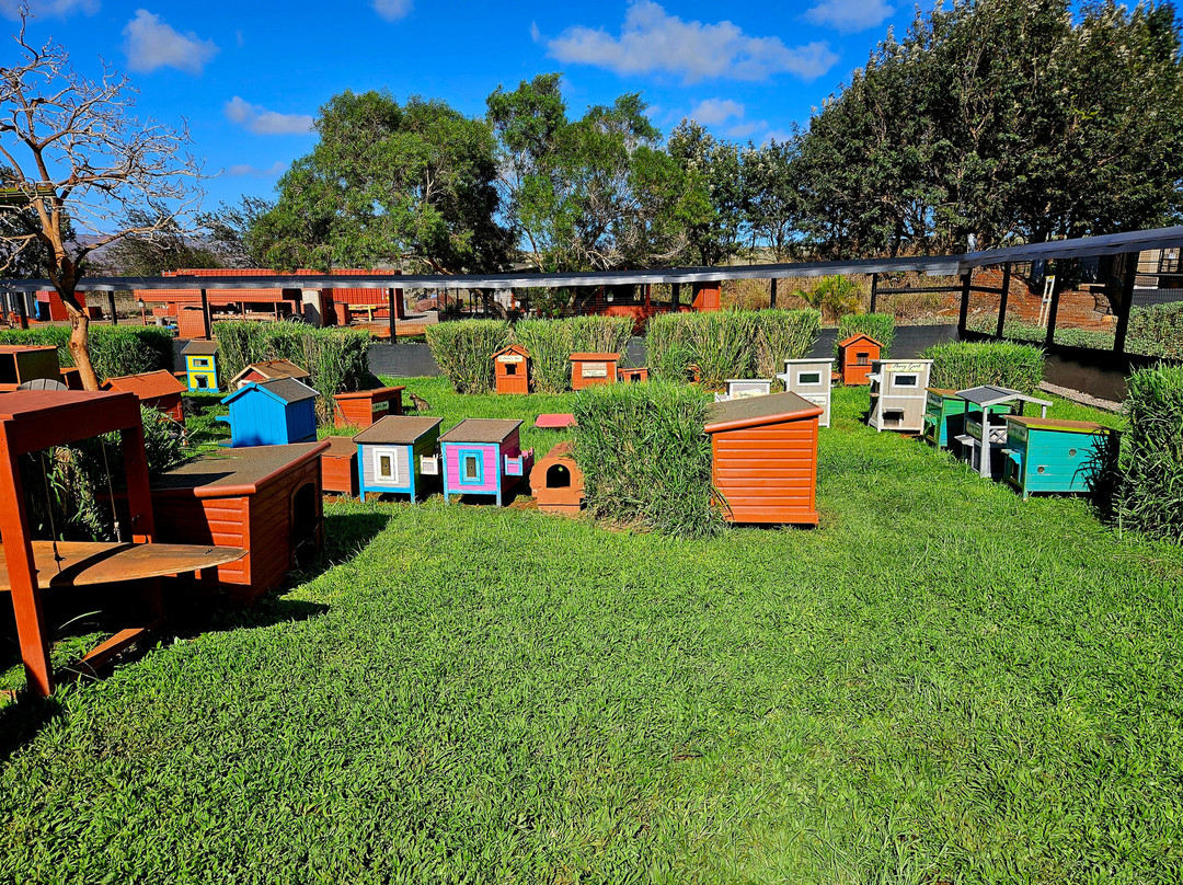 拉奈动物救援中心-拉奈市必去景点