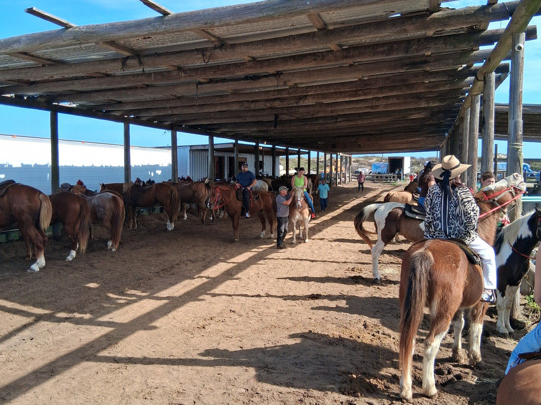 South Padre Island Adventure Park-南帕诸岛必去景点