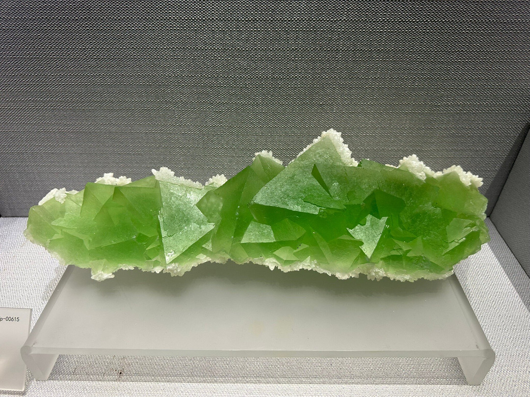 湖南省地质博物馆-长沙市必去景点