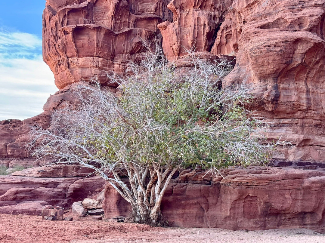 The Nabatean temple - Wadi Rum-Wadi Rum Village必去景点