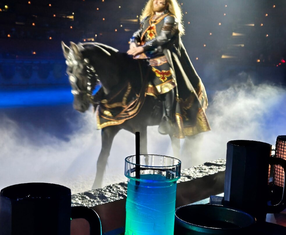 Medieval Times-绍姆堡必去景点