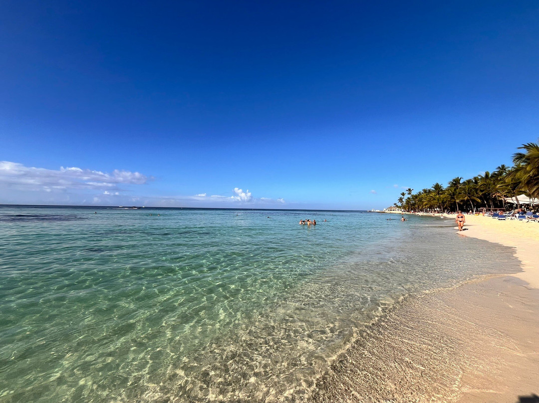 Viva Wyndham Dominicus Beach