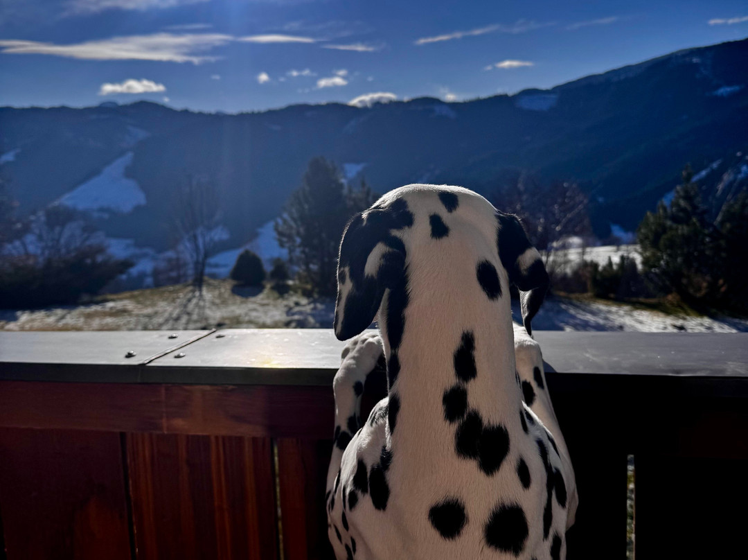 Bergheimat Hotel主图