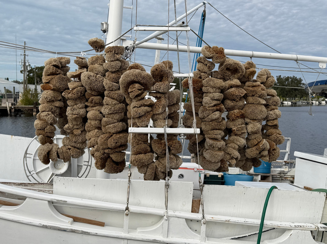 Tarpon Springs Sponge Docks-塔彭斯普林斯必去景点