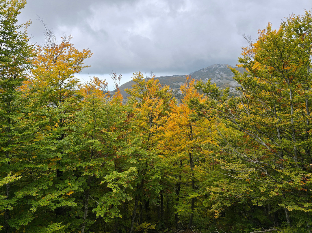 Lovcen National Park-Cetinje必去景点