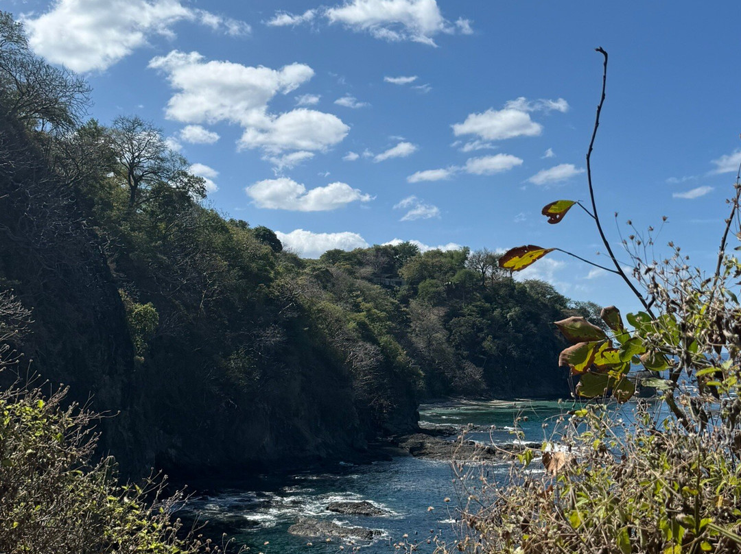 Sea Star CR Sport Fishing and Adventure Tours-Area de Conservacion Guanacaste必去景点