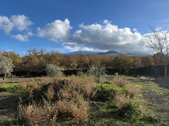 Turi Eccellenze dell'Etna-Randazzo必去景点