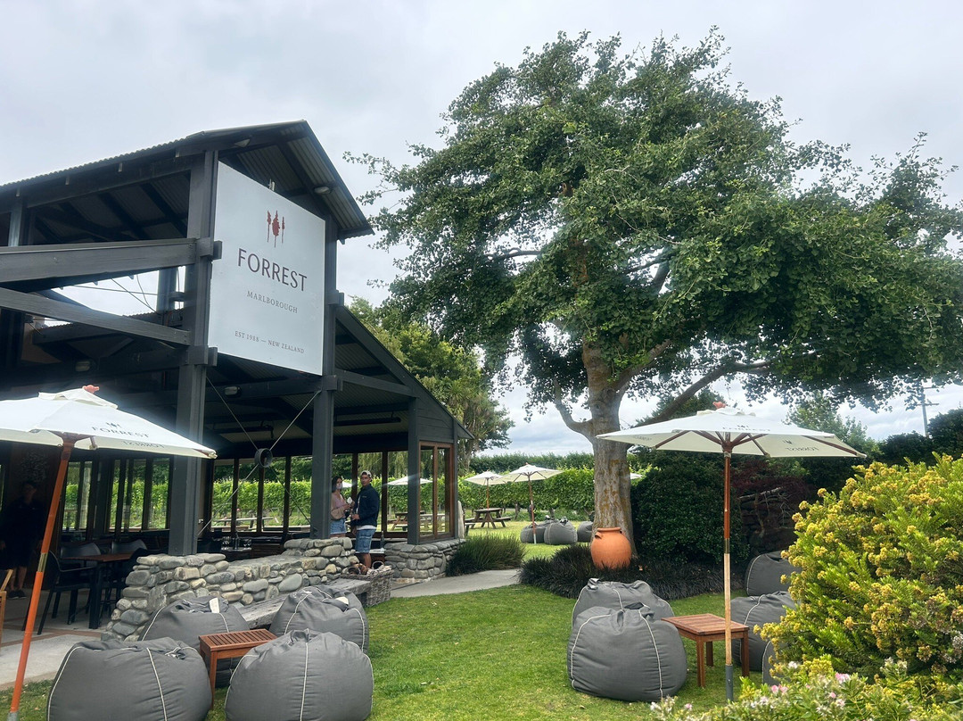 Forrest Wines Cellar Door-伦威克必去景点