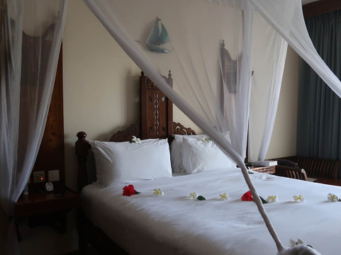 桑给巴尔南威希尔顿逸林酒店主图