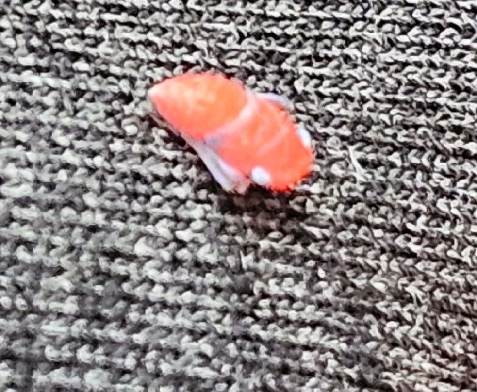 Rogitama Biodiversidad-Arcabuco必去景点