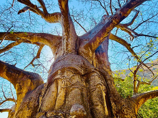 Salalah Explore Adventure Trips-塞拉莱必去景点