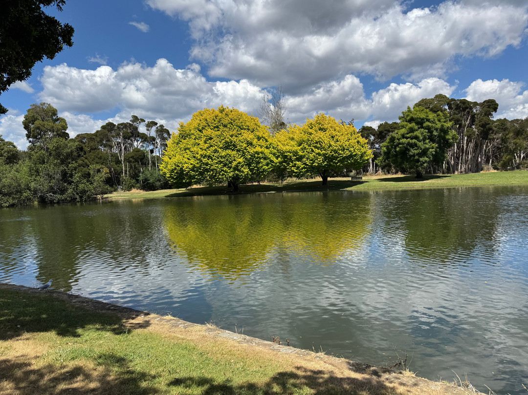 Coastline tours Tasmania-伯尼必去景点