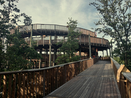 Ecoparque Ciénaga De Mallorquín-Barranquilla必去景点