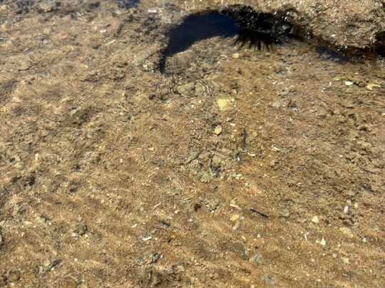 Praia Barra de São Miguel-Barra de Sao Miguel必去景点