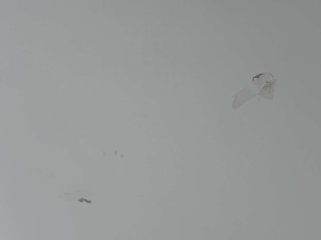 Hotel Colon Salinas主图