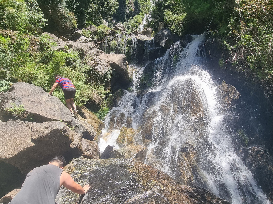 Reserva Biologica Juan Millanao-Panguipulli必去景点