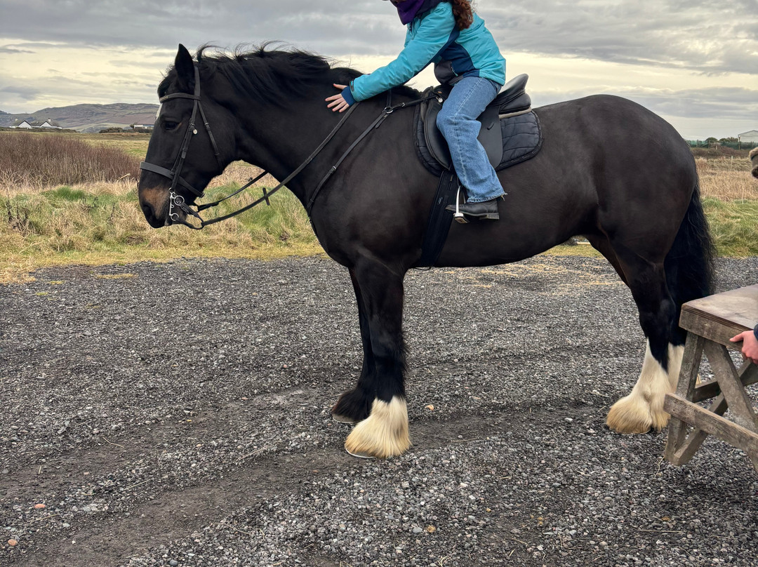 Cumbrian Heavy Horses-Millom必去景点