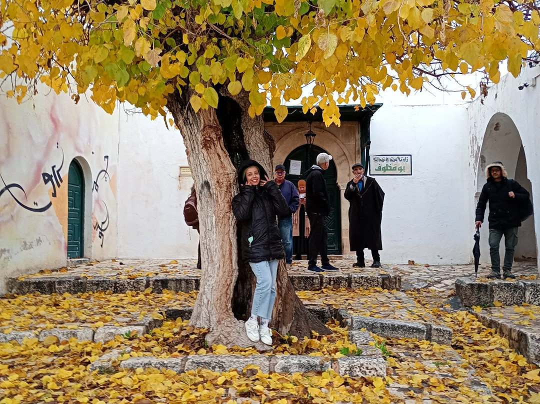 Kasbah Of Le Kef-Le Kef必去景点