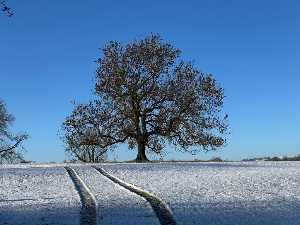 Tissington Ford Barn-官方