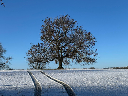 Tissington Ford Barn主图