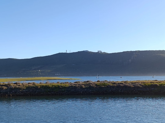 Mane By The Sea - Thesen Island